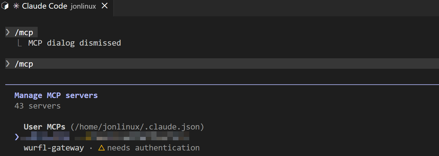 MCP server details panel showing authentication status