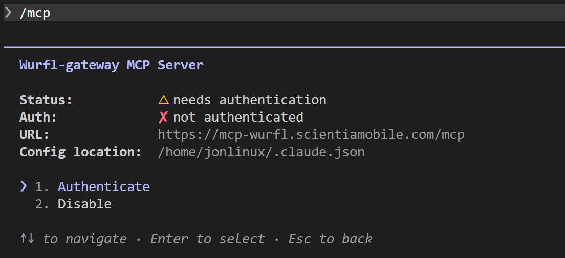 Authenticate option highlighted in the MCP server details panel
