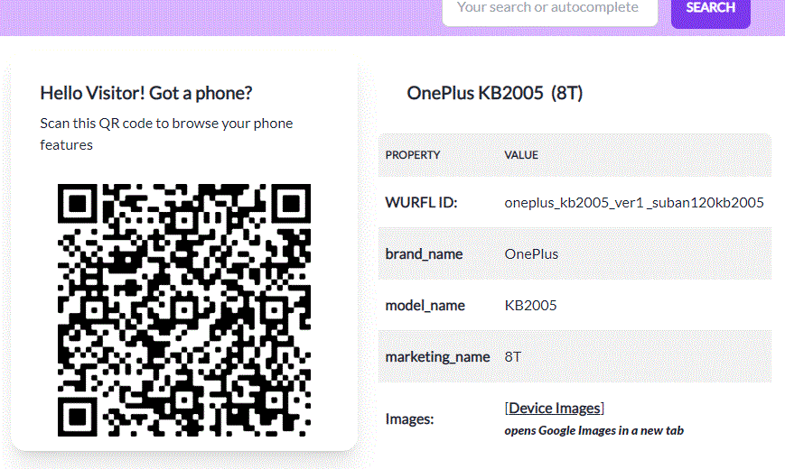 After QR code is scanned, result is displayed on page
